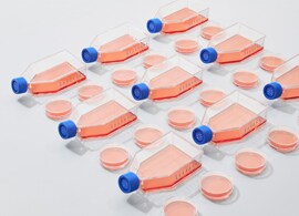 Nunclon Delta 处理的细胞培养塑料,用于贴壁细胞 细胞培养或组织培养处理的培养皿,用于贴壁细胞