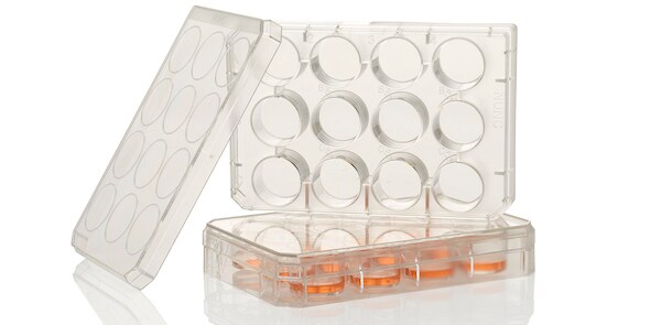 Nunc UpCell Multiwell Plate Two lidded-12 well plates with Nunc UpCell surface