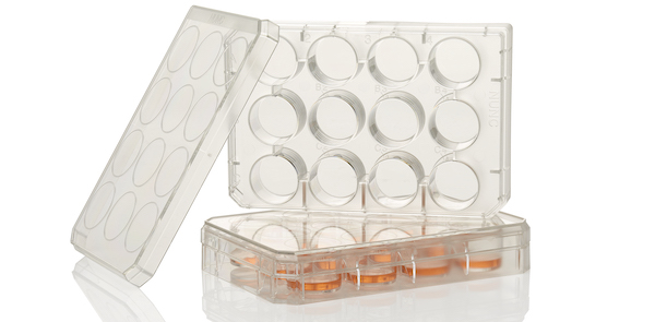 Nunc UpCell Multiwell Plate Two lidded-12 well plates with Nunc UpCell surface