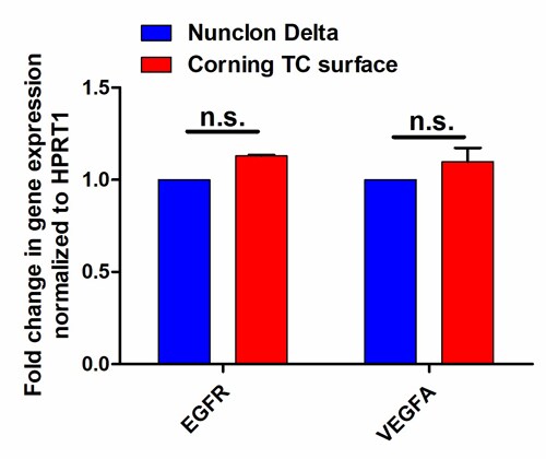 Graphed results of gene expression in A431 cells when grown on Nunclon Delta or on Corning TC surface Bar charts showing gene expression of 2 endogenous genes in A431 cells when grown on Nunclon Delta or on Corning TC surface