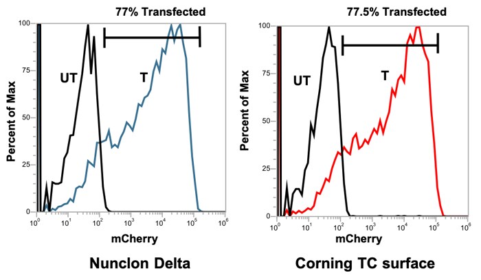 graphed results of flow cytometry analysis of HeLa cells grown on Nunclon Delta surface or on Corning TC surface flow cytometry histograms of fluorescently stained HeLa cells grown on Nunclon Delta surface or on Corning TC surface