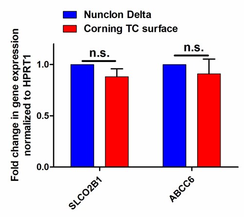 Graphed results of gene expression in HepG2 cells when grown on Nunclon Delta or on Corning TC surface Bar charts showing gene expression of 2 endogenous genes in HepG2 cells when grown on Nunclon Delta or on Corning TC surface