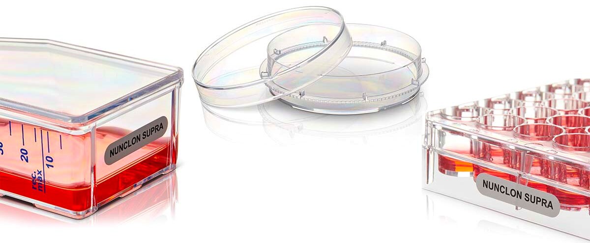 Nunclon Supra Surfaces for Advanced Cell Culturing decorative image