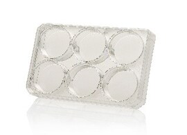 Thermo Scientific Nunc UpCell Surface Thermo Scientific Nunc UpCell Surface