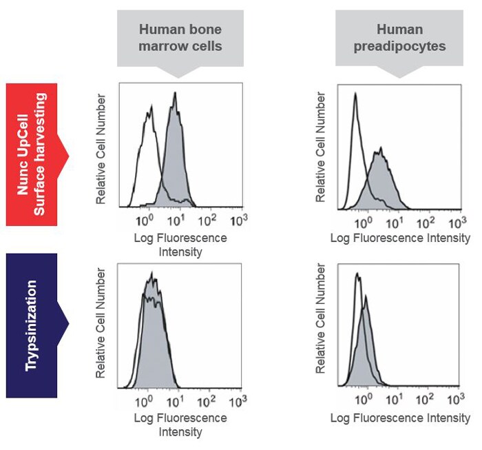 Results from cell surface molecule detection assay Flow cytometry histograms of cell number as a function of fluorescence intensity for trypsinized cells compared to those grown on Nunc UpCell surface