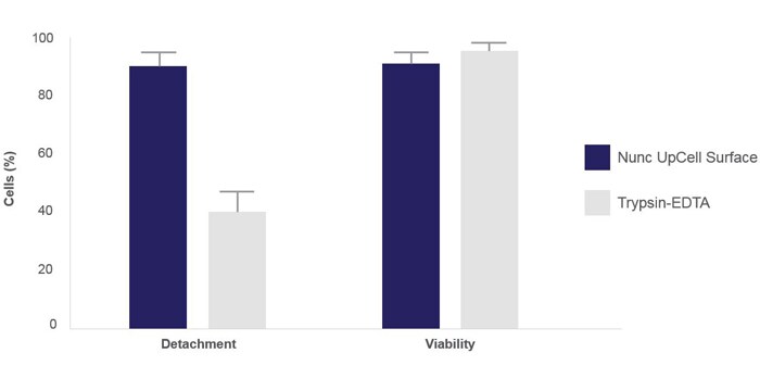Results from dendritic cell detachment and viability assays Bar charts showing the percentage of detached and viable dendritic cells obtained from trypsin-EDTA detachment compared to UpCell surface detachment