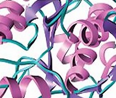 showcase.par.44456.image.0.0.1 昆虫细胞培养