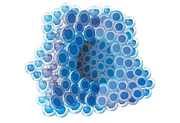 Tumoroid tumoroid illustration