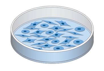 Immortalized cancer cells dish of cells-illustration