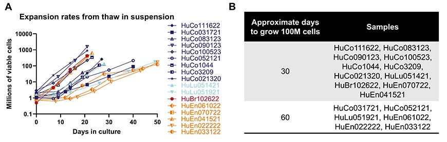 Expansion rates in suspension culture data from line-specific growth rates