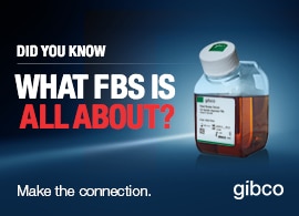 胎牛血清 (FBS) 胎牛血清 (FBS)