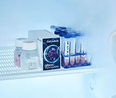 腾出冰箱空间 腾出冰箱空间