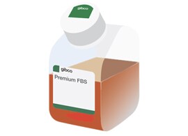 特级胎牛血清 (FBS) 特级胎牛血清 (FBS)