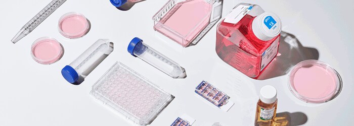 Mammalian cell culture 动物细胞培养工具与条件