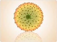 showcase.par.72516.image.0.0.1 showcase.par.72516.image.0.0.1