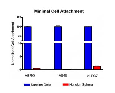 Normalized cell attachment results for Nunclon Sphera surface Bar chart showing reduced attachment for Nunclon Sphera surface