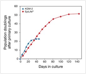 角质形成细胞培养图 角质形成细胞培养图