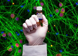 WE42090-TLSG-0025_B_27_Plus-sho-270x195 B-27 Plus 神经元培养体系