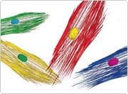 showcase.par.42095.image.0.0.1 showcase.par.42095.image.0.0.1