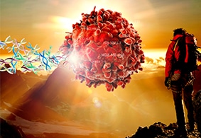 转染实验方案 转染实验方案