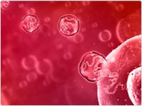 showcase.par.30191.image.0.0.1 showcase.par.30191.image.0.0.1