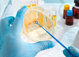 Bacterial Transformation Workflow | Thermo Fisher Scientific - CN