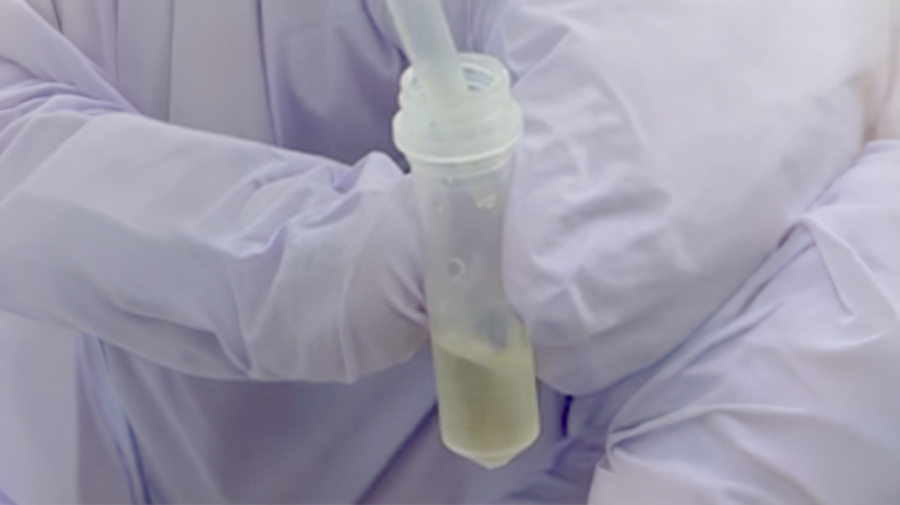 Bacterial strain selection Scientist holding a tube