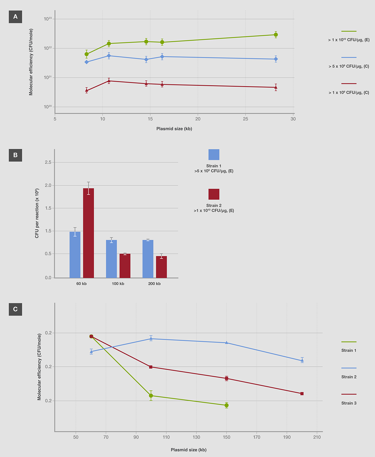 Stability of a plasmid with direct repeat sequences Stability of a plasmid with direct repeat sequences