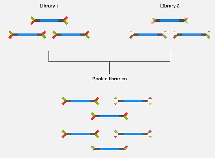 Multiplex sequencing with pooled libraries Multiplex sequencing with pooled libraries