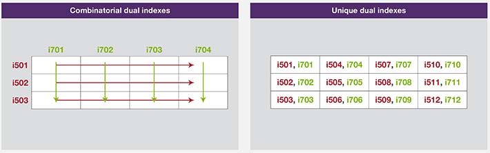 Combinatorial dual indexes (CDI) vs. unique dual indexes (UDI) Combinatorial dual indexes (CDI) vs. unique dual indexes (UDI)