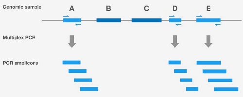 Target enrichment by PCR amplification Target enrichment by PCR amplification