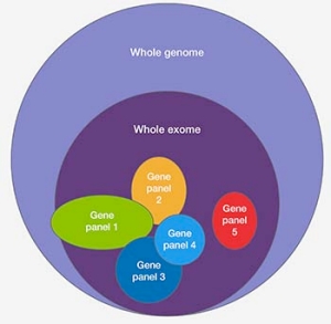 Common DNA sequencing methods Common DNA sequencing methods