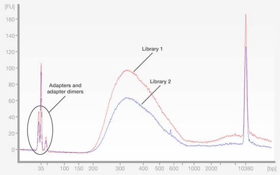 Fragment analysis of libraries by microfluidics-based electrophoresis Fragment analysis of libraries by microfluidics-based electrophoresis