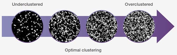 Library clustering on a flow cell Library clustering on a flow cell