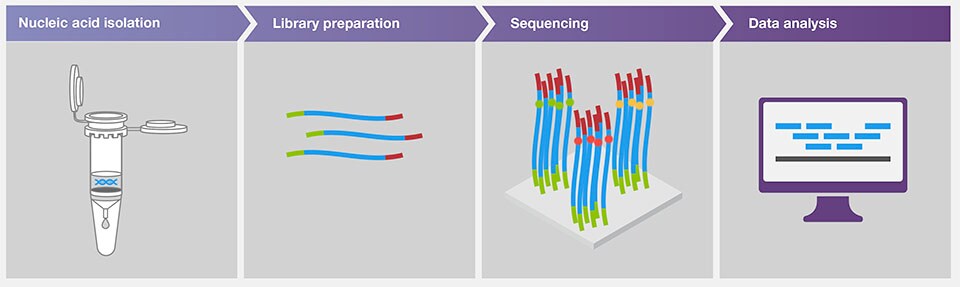 Next-generation sequencing workflow using Illumina systems Next-generation sequencing workflow using Illumina systems