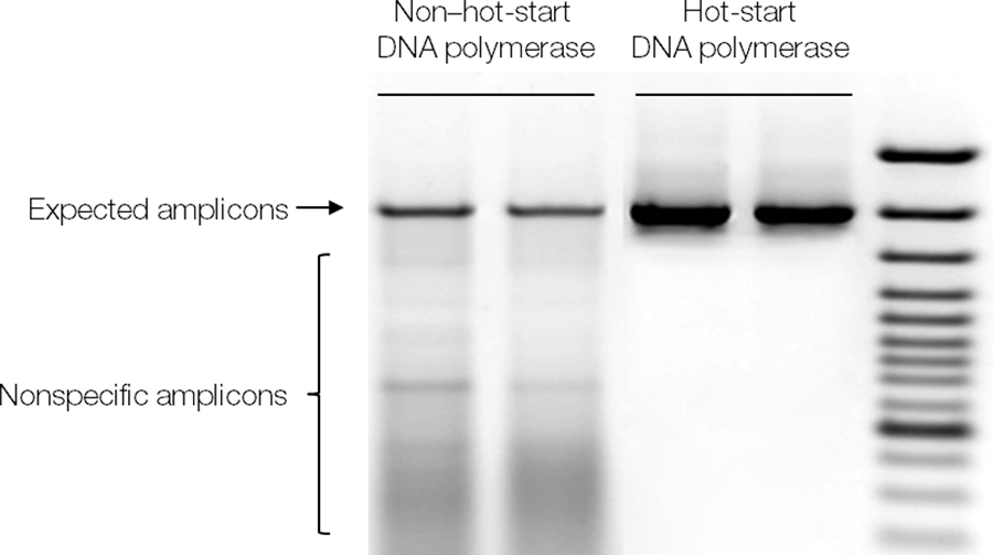DNA聚合酶-pcr过程-pcr酶-赛默飞 | Thermo Fisher Scientific - CN
