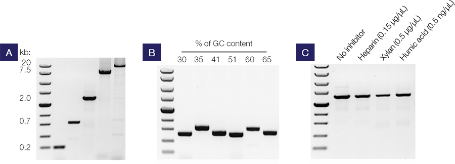 DNA聚合酶-pcr过程-pcr酶-赛默飞 | Thermo Fisher Scientific - CN