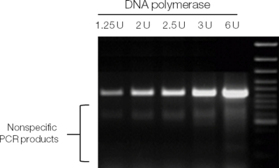pcr实验组分详细-pcr反应体系-赛默飞 | Thermo Fisher Scientific - CN