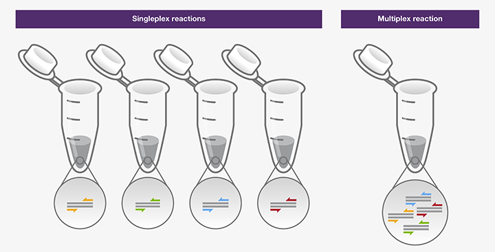 PCR方法-巢式PCR-降落PCR-赛默飞 | Thermo Fisher Scientific - CN