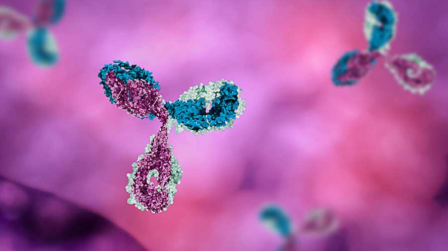 Applications of Synthetic Biology Decorative