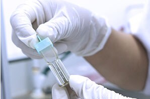 Electroporation Cuvette Two gloved hands holding an electroporation cuvette