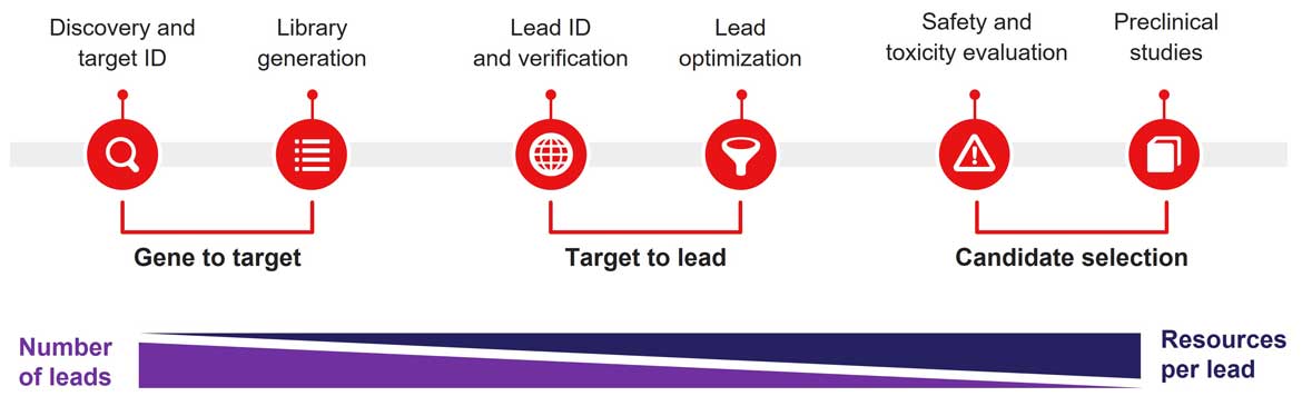 Therapeutic antibody development workflow Therapeutic antibody development workflow includes discovery and target ID, library generation, lead ID and verification, lead optimization, safety and toxicity evaluation, and preclinical studies