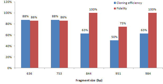 Gateway cloning example with GeneArt Strings DNA Fragments Gateway cloning example with GeneArt Strings DNA Fragments