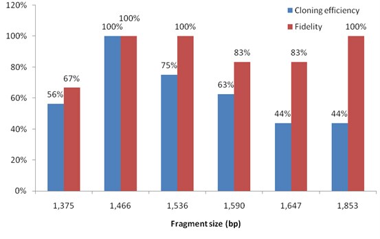 GeneArt seamless cloning example using multiple GeneArt Strings DNA Fragments Chart showing cloning efficiency and fidelity of twelve Strings DNA fragments of different lengths with suitable 15bp homology ends used for direct assembly with a GeneArt Seamless Cloning and Assembly Kit