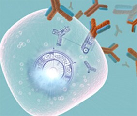 Geneart 蛋白纯化服务 Geneart 蛋白纯化服务