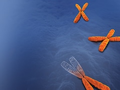 CO33911-PartialChromosome_Engineered-2 CO33911-PartialChromosome_Engineered-2