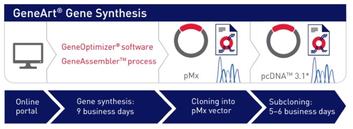 从 pMx 到表达载体进行经典亚克隆 从 pMx 到表达载体进行经典亚克隆