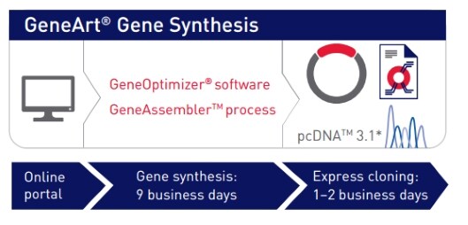 直接快速克隆至表达载体中 直接快速克隆至表达载体中