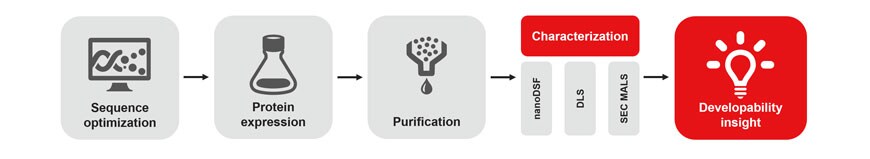 Protein services from sequence to insight workflow image with steps for sequence optimization, protein expression, purification, and characterization leading to developability insight