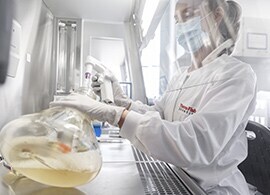 Scientist working with a culture flask and pipette Protein expression in mammalian cell culture